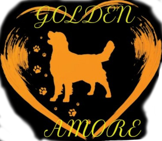 Golden Amore Logo